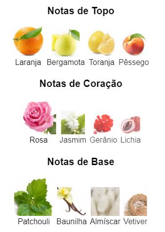 Pirâmide Olfativa (Nosso Produto)